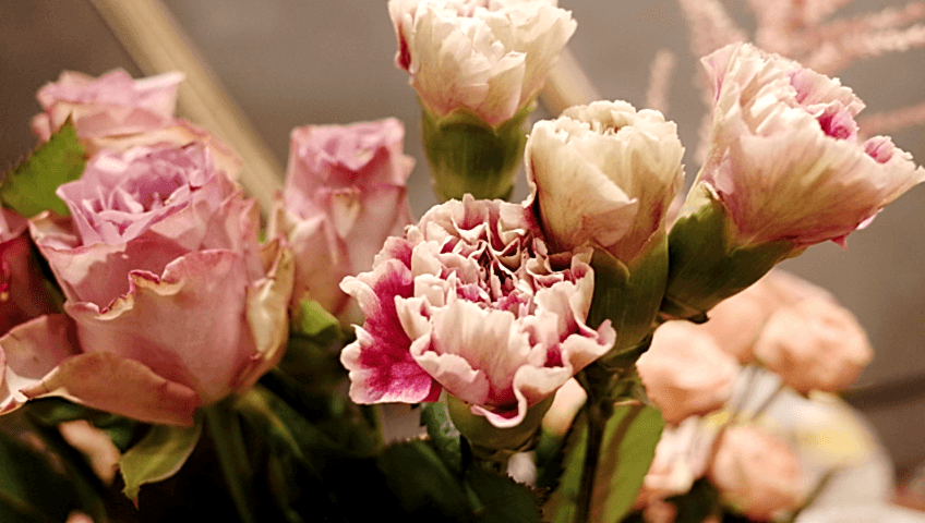 gaziantep beylerbeyi çiçekçi