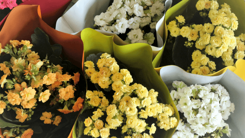 gaziantep duisburg çiçekçi