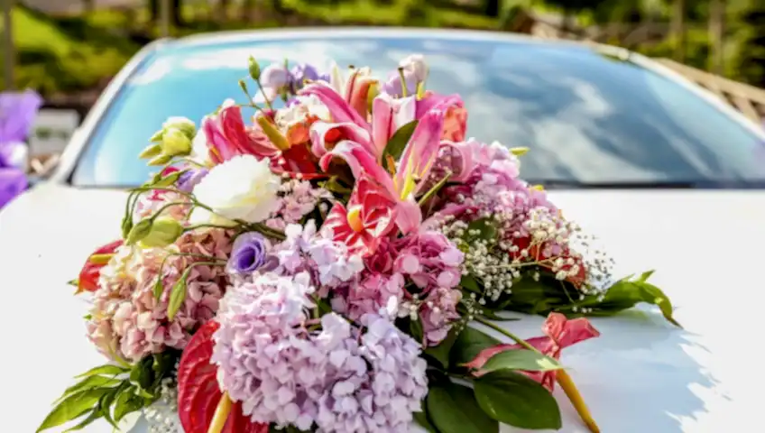 gaziantep gelin arabası süsleme