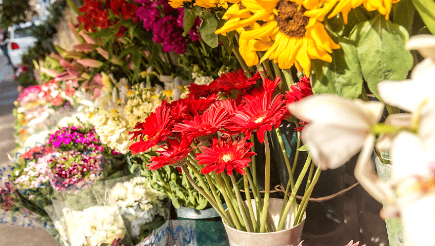 gaziantep körkün çiçekçi