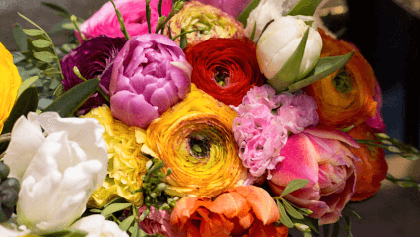 gaziantep şahinbey çiçekçi