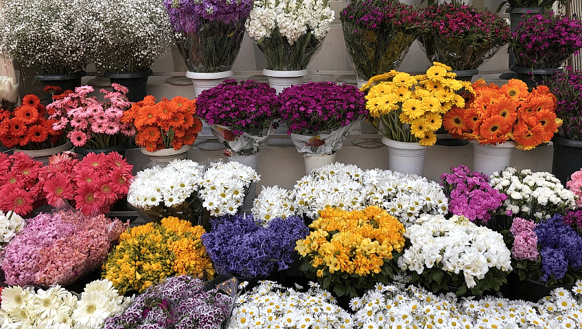 gaziantep seyrantepe çiçekçi