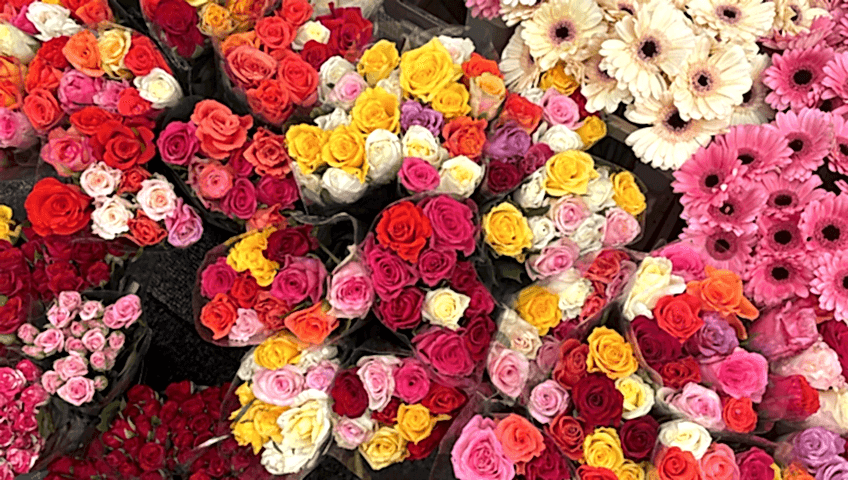 gaziantep yeditepe çiçekçi