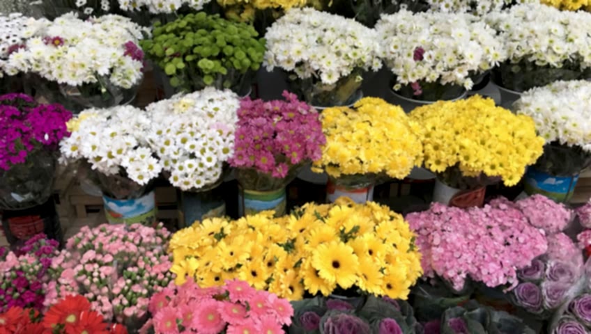 merveşehir çiçekçi