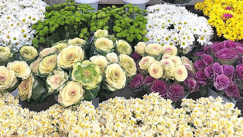 perilikaya çiçekçi