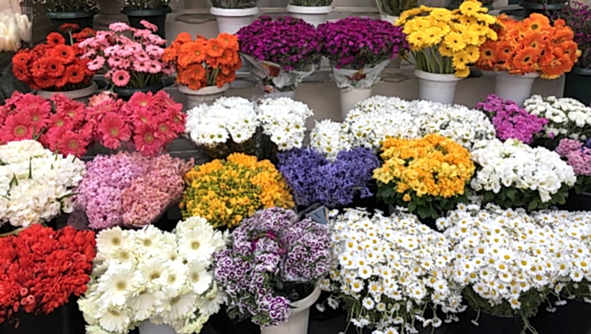 şehitkamil çiçekçi