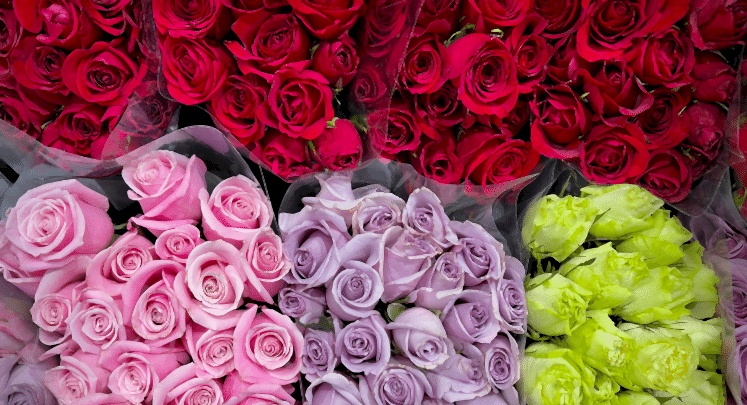 gaziantep çiçekçi