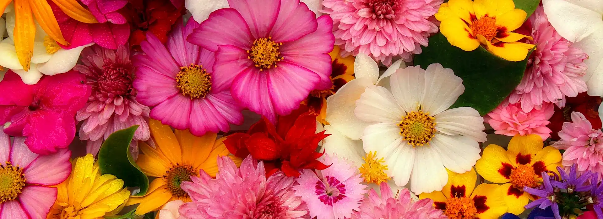 gaziantep çiçek siparişi