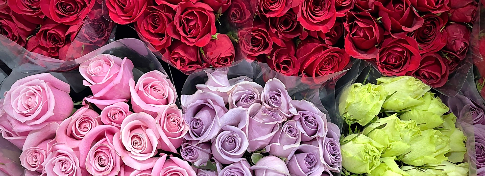 gaziantep çiçekçi